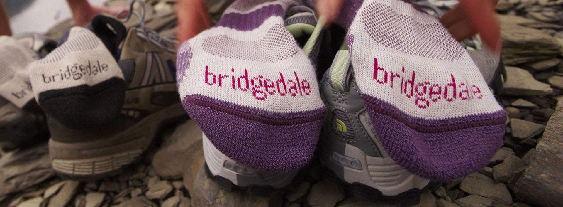 skarpety bridgedale