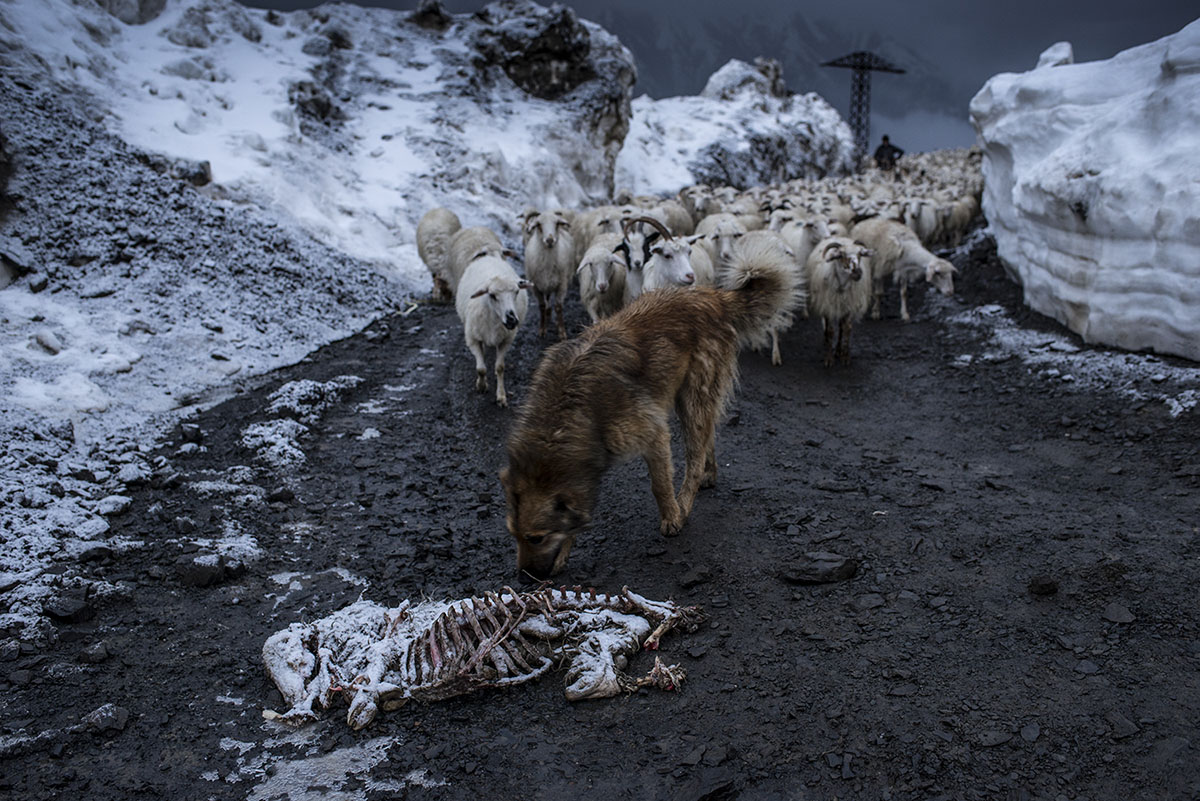 droga Tusheti