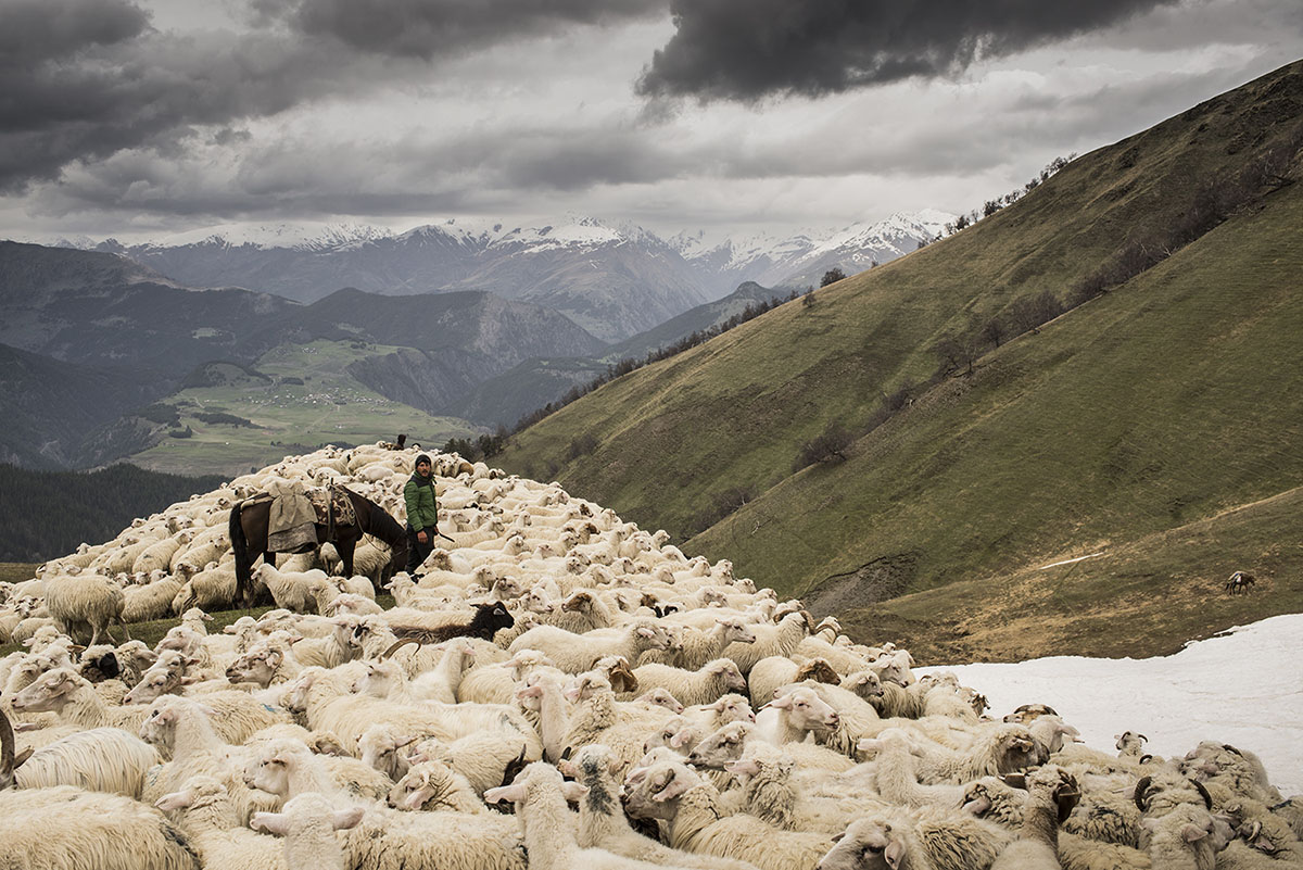 droga Tusheti