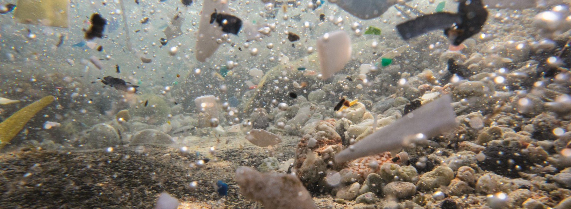 Mikroplastik - mały ale bardzo duży problem