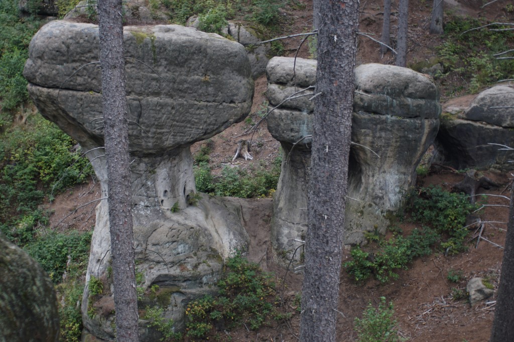 skalne grzyby gorzeszowskie skały