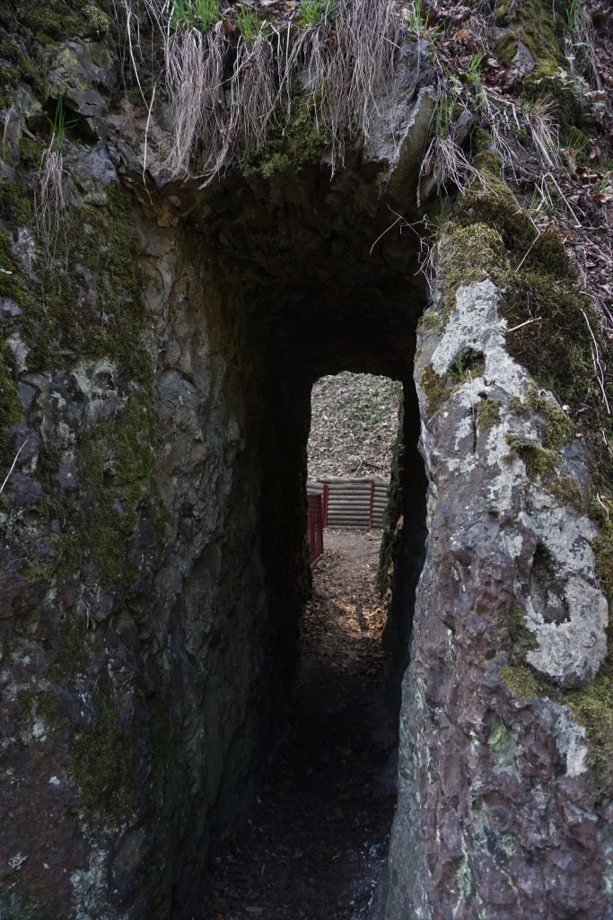 tunel ścieżka hochbergów