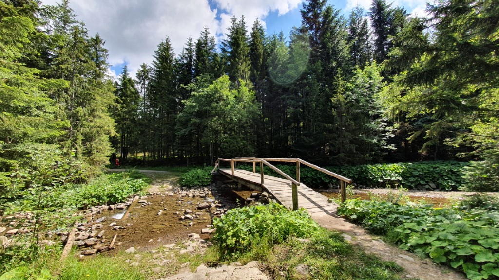 Mostek na szlaku - Babia Góra