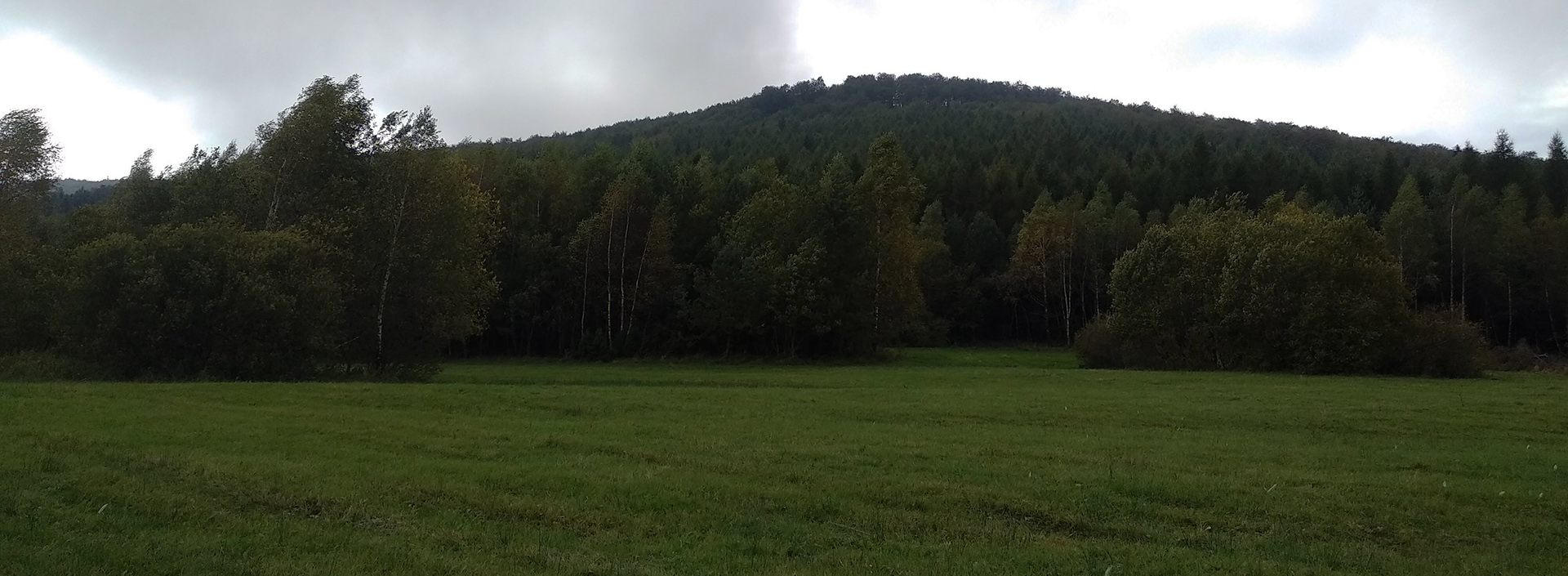 widok z łąk na Lackową