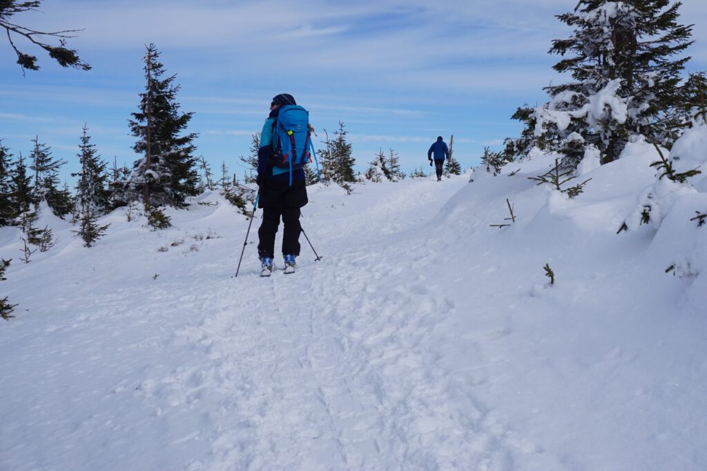 śnieżnik na nartach skitorowych
