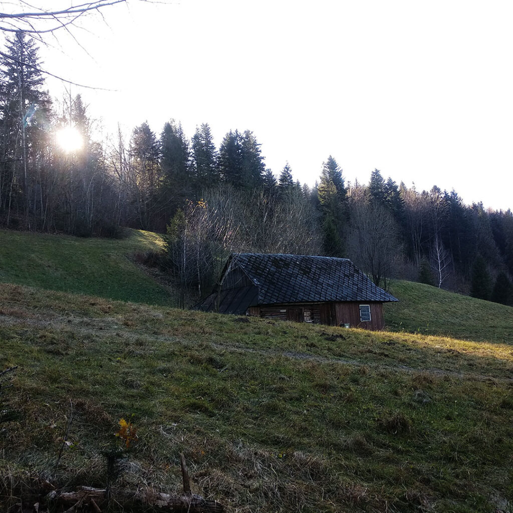 drewniany domek na hali
