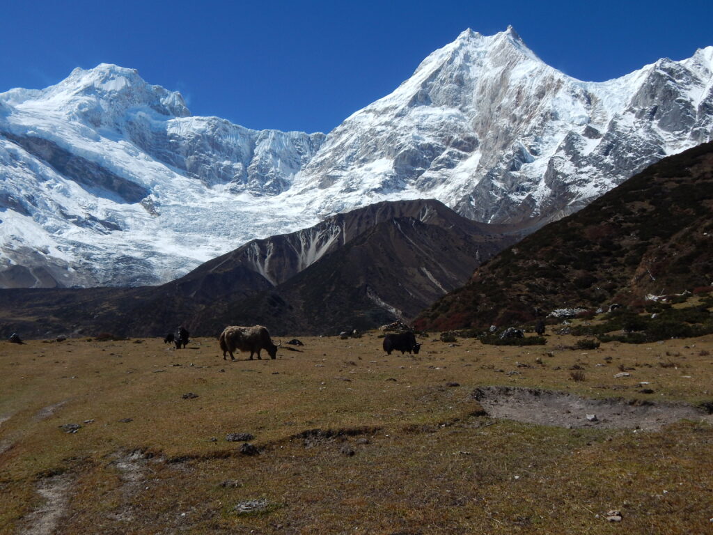 trekking w himalajach manaslu