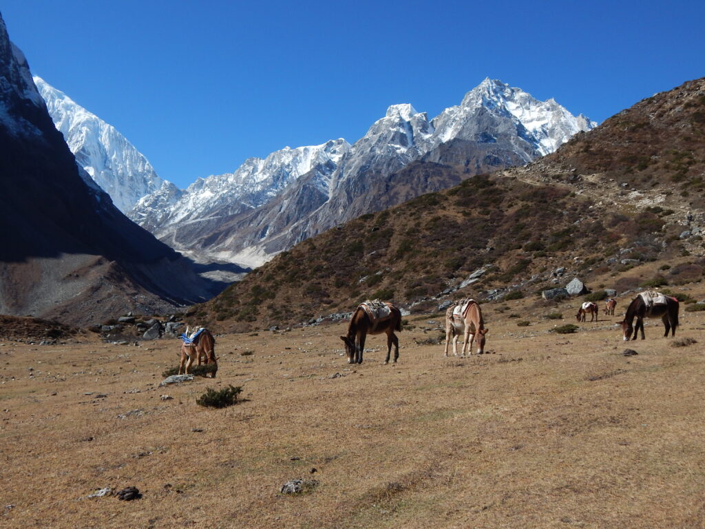 trekking wokół manaslu