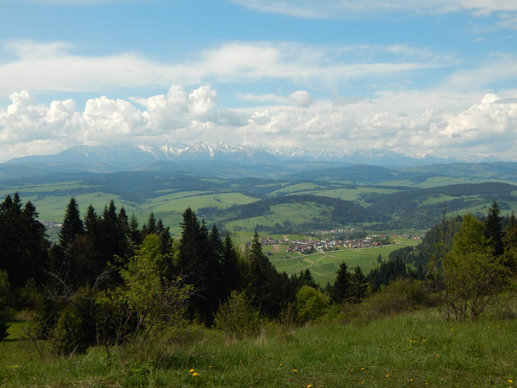 pieniny widok na tatry