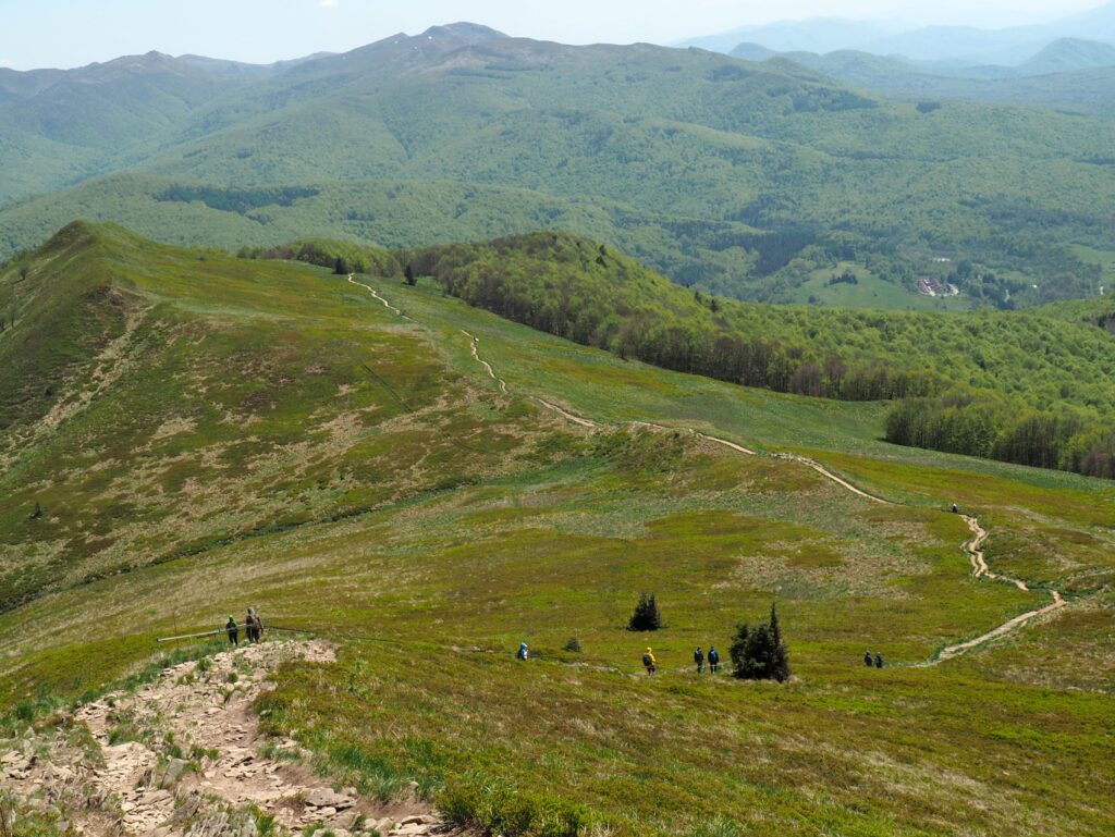 połonina Caryńska bieszczady
