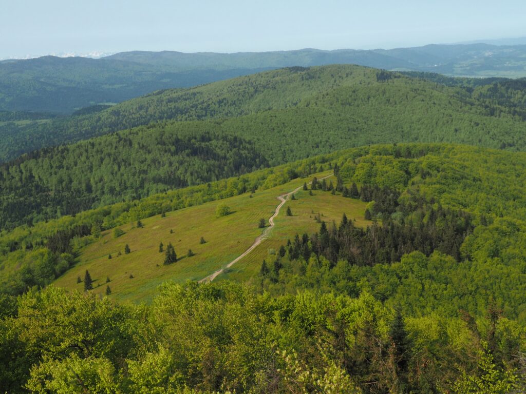 polana stumorgowa na mogielicy