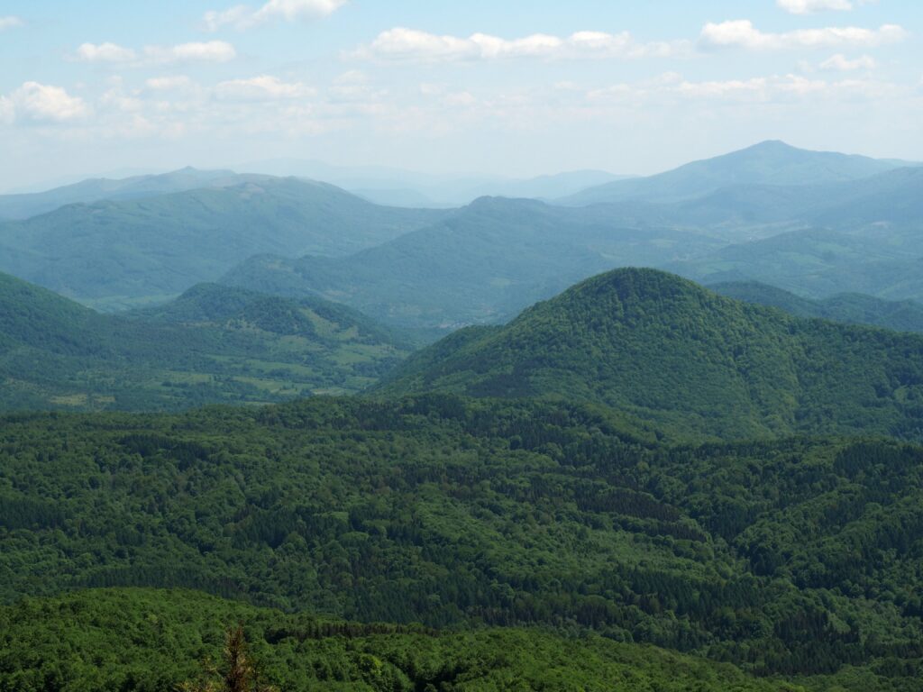 panorama z tarnicy