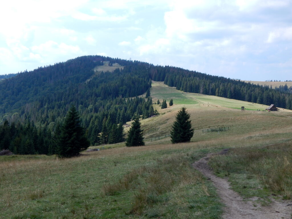 schronisko pod turbaczem