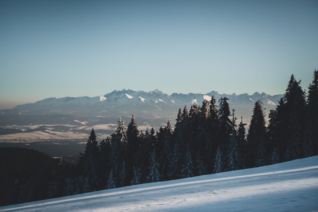 turbacz panorama, tatry turbacza