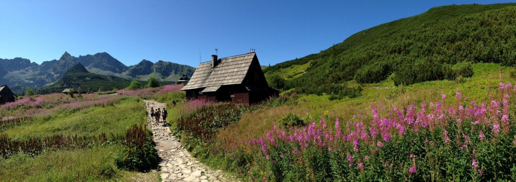 tatry hala gąsienicowa