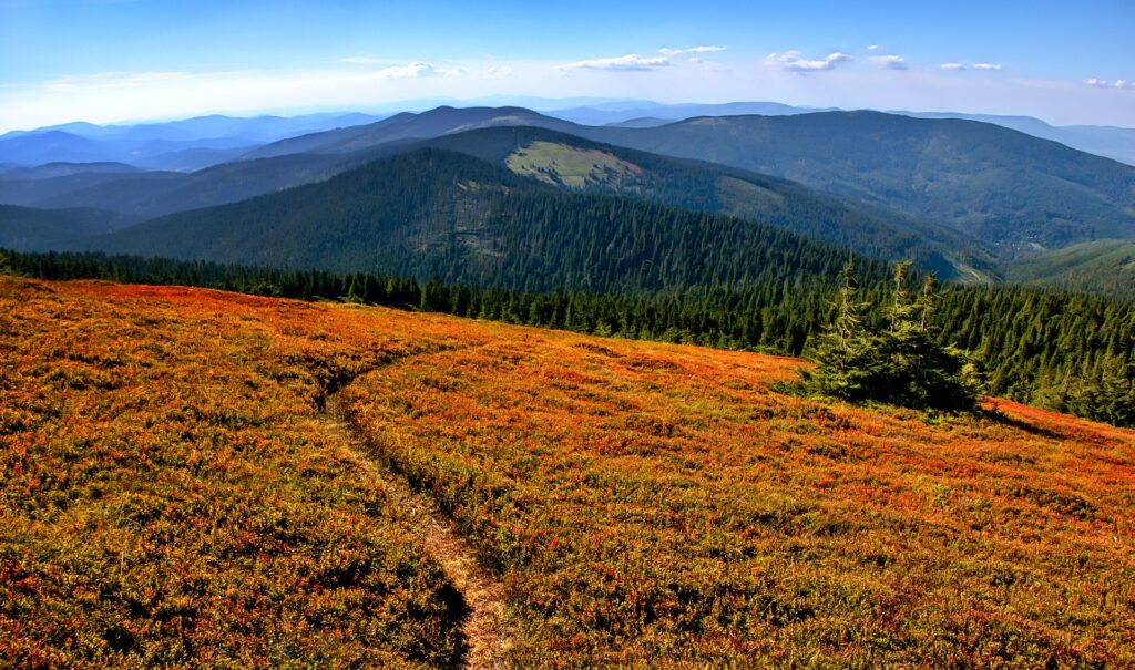 beskid żywiecki szlaki