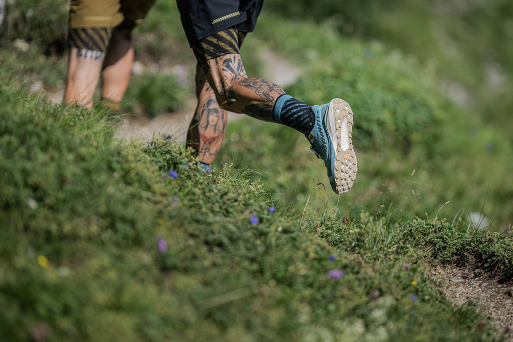 Buty Dynafit Trail – lekka, amortyzowana konstrukcja stworzona z myślą o bieganiu w zróżnicowanym terenie