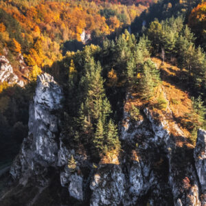Jura Krakowsko-Częstochowska