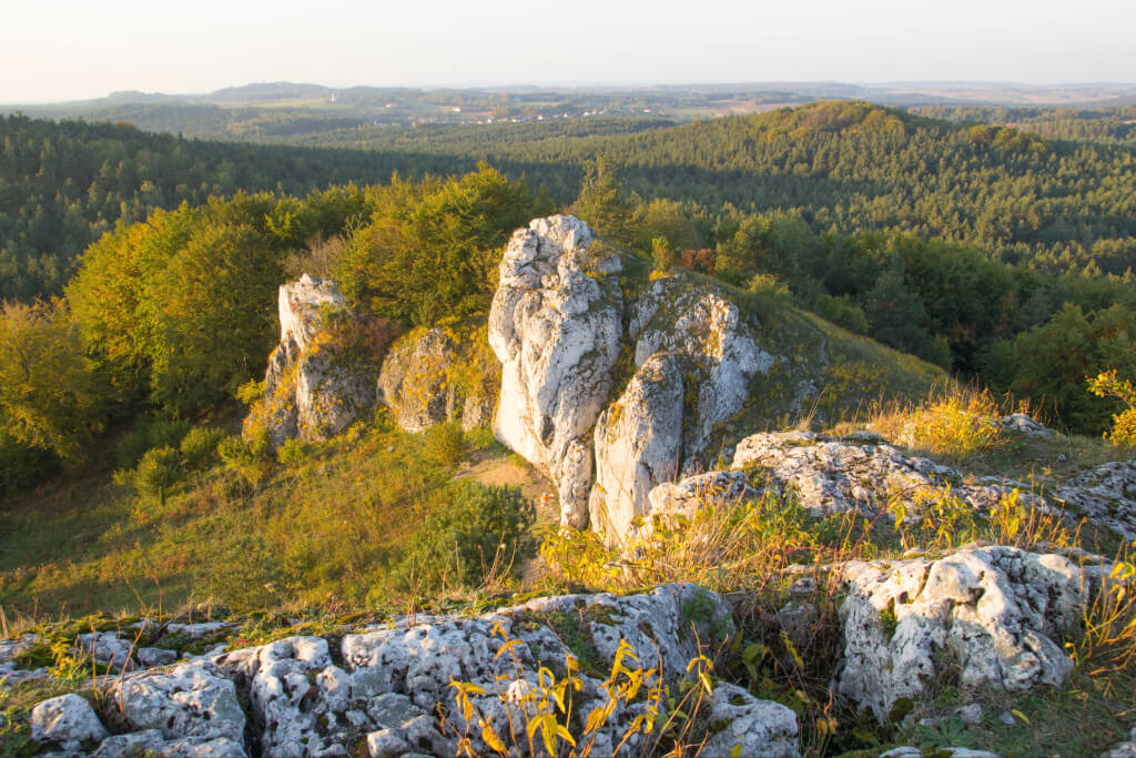 Jura Krakowsko-Częstochowska