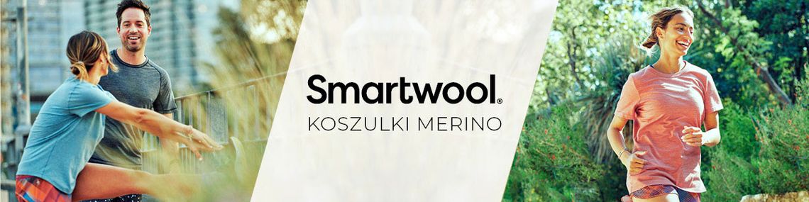 Koszulki męskie Smartwool Koszulki męskie Smartwool