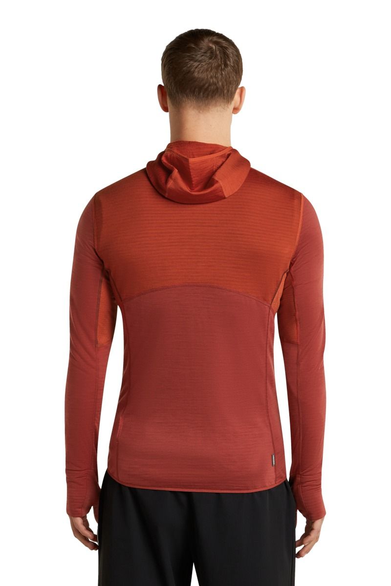 BLUZA MERINO 200 REALFLEECE DESCENDER LS ZIP HOODIE-AGATE-PORT