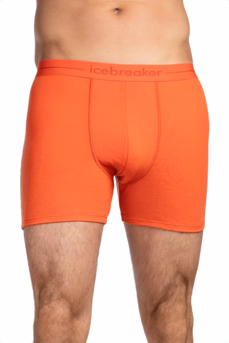 BOKSERKI MERINO 150 ANATOMICA-FERVID