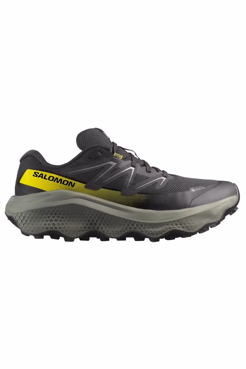 BUTY ULTRA FLOW 2 GTX-BLACK-SEDONA SAGE-INCABERRY