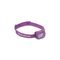 Piton purple