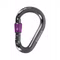 Gun metal-fuchsia