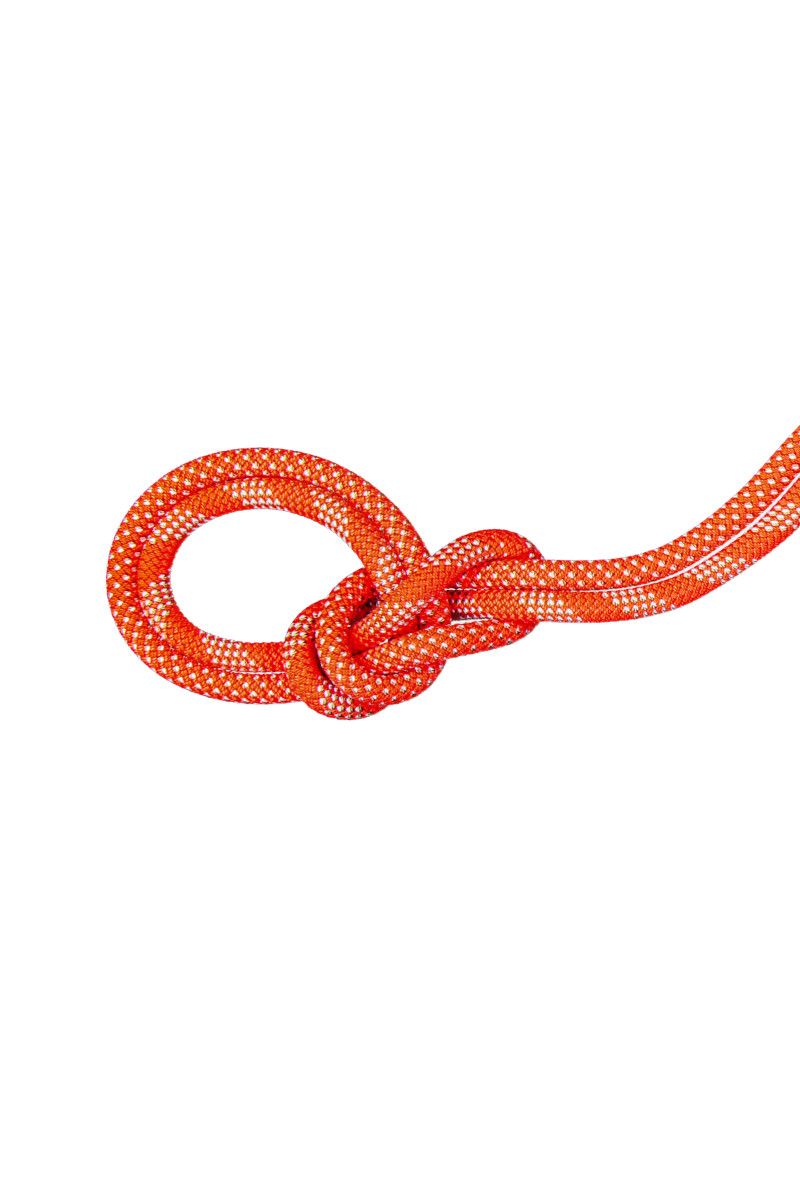 ORANGE-WHITE