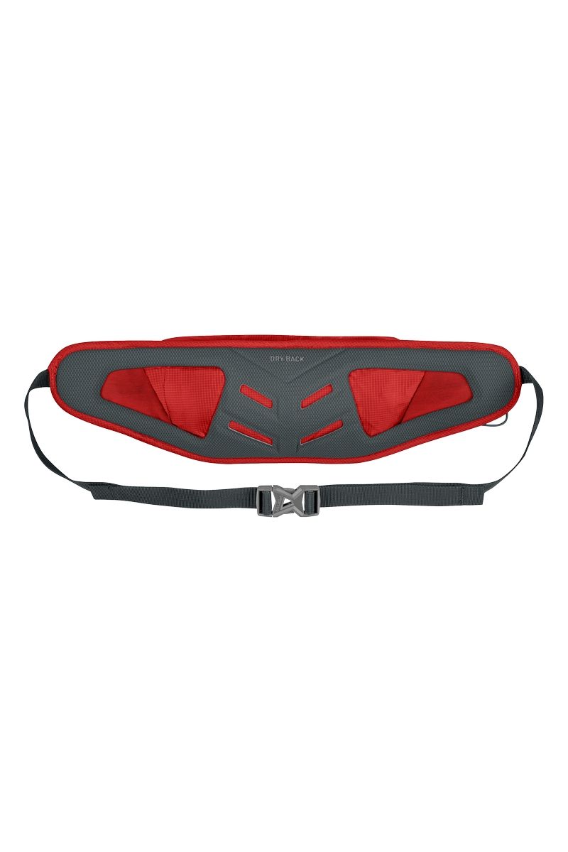 PAS BIEGOWY LITE TRAIN HIPBELT-FLAME