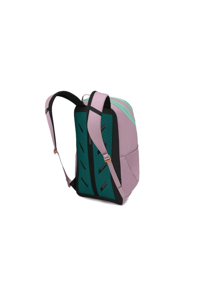 PLECAK ASTRONOVA 23-IRIS PINK