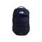 Tnf navy-tnf black-npf