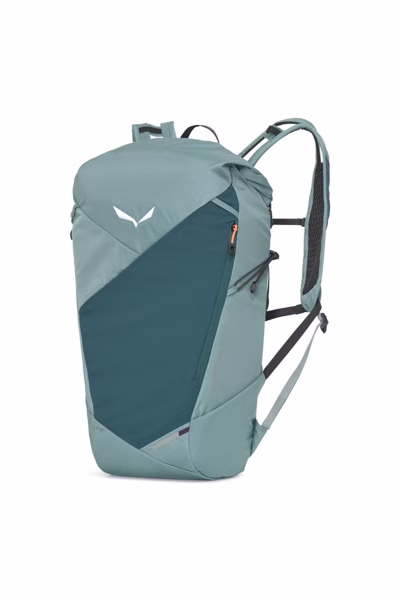 PLECAK PEDROC CORE 22-WILLOW