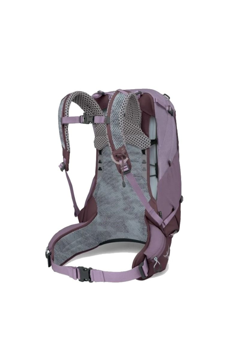PLECAK SIRRUS 24-PURPLE DUSK