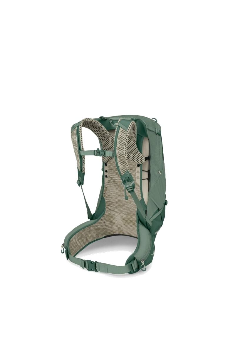 PLECAK STRATOS 24-PINE LEAF GREEN