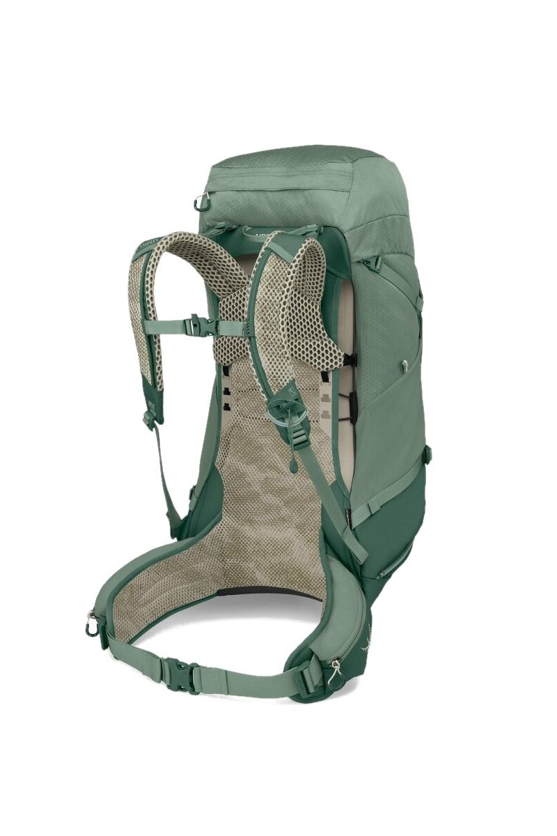 PLECAK STRATOS 44-PINE LEAF