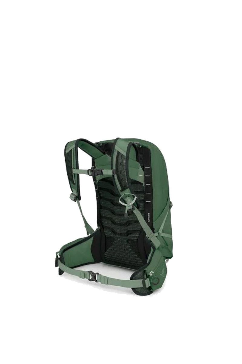 PLECAK TALON 11-GREEN CANOPY-PINE LEAF