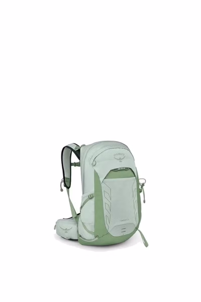 Frosty mint green-botanica