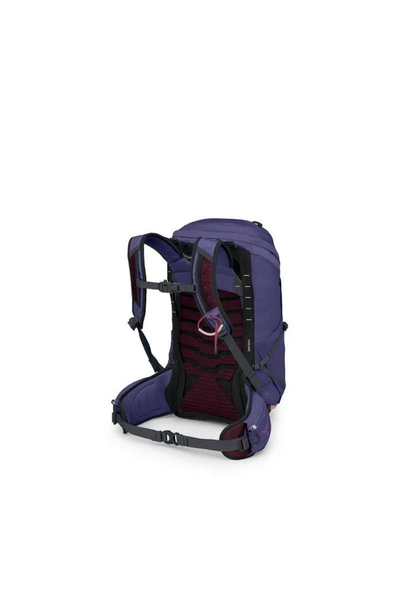 PLECAK TEMPEST 26-DEEP FIG-HOTSPOT PINK