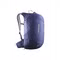 Mazarine blue-ghost grey