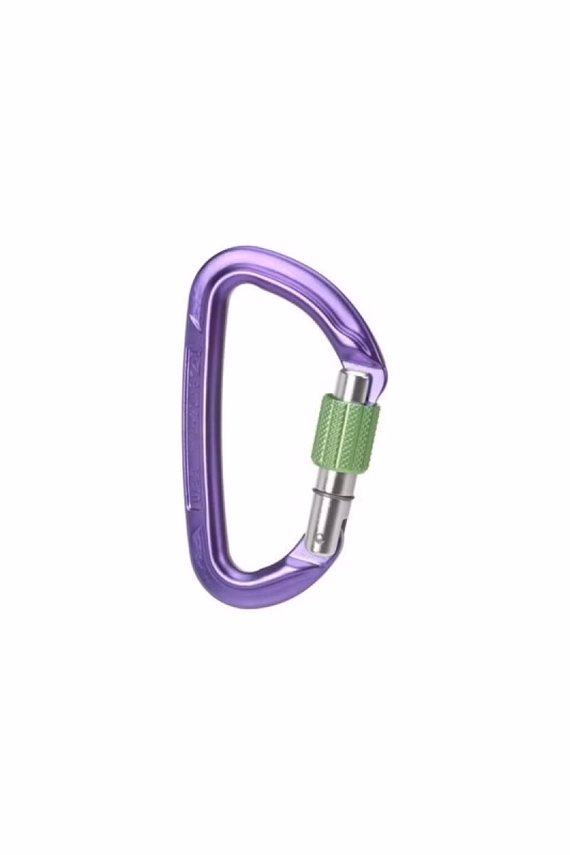 KARABINEK SESSION SCREW GATE-PURPLE-GREEN